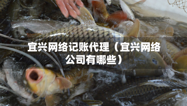宜興網(wǎng)絡(luò)記賬代理（宜興網(wǎng)絡(luò)公司有哪些）
