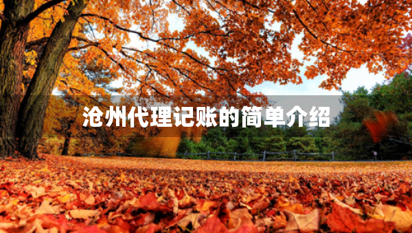 滄州代理記賬的簡(jiǎn)單介紹