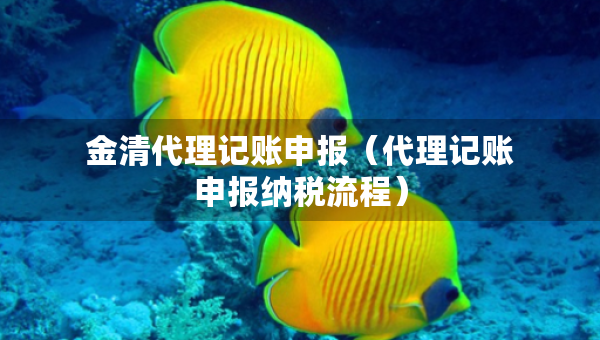 金清代理記賬申報（代理記賬申報納稅流程）