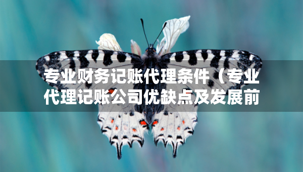 專業(yè)財務(wù)記賬代理條件（專業(yè)代理記賬公司優(yōu)缺點及發(fā)展前景論文）