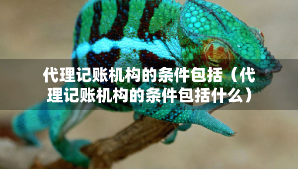 代理記賬機(jī)構(gòu)的條件包括（代理記賬機(jī)構(gòu)的條件包括什么）