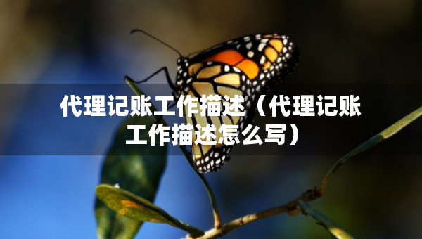 代理記賬工作描述（代理記賬工作描述怎么寫）