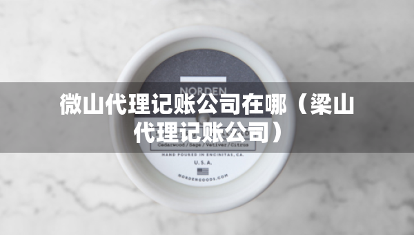 微山代理記賬公司在哪（梁山代理記賬公司）