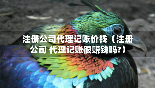 注冊(cè)公司代理記賬價(jià)錢（注冊(cè)公司 代理記賬很賺錢嗎?）