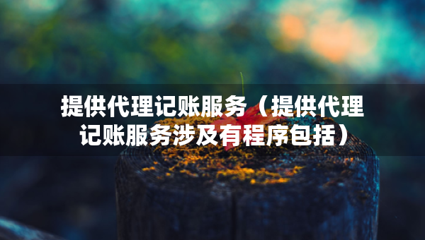 提供代理記賬服務（提供代理記賬服務涉及有程序包括）
