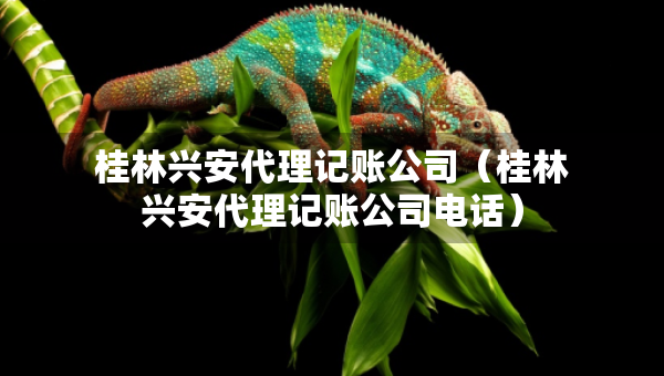 桂林興安代理記賬公司（桂林興安代理記賬公司電話）