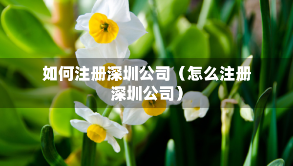 如何注冊深圳公司（怎么注冊深圳公司）