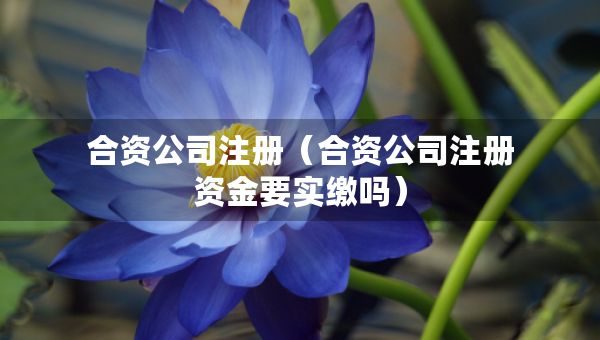 合資公司注冊（合資公司注冊資金要實繳嗎）