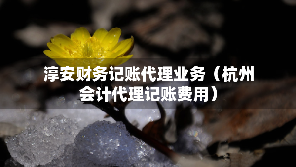 淳安財(cái)務(wù)記賬代理業(yè)務(wù)（杭州會(huì)計(jì)代理記賬費(fèi)用）