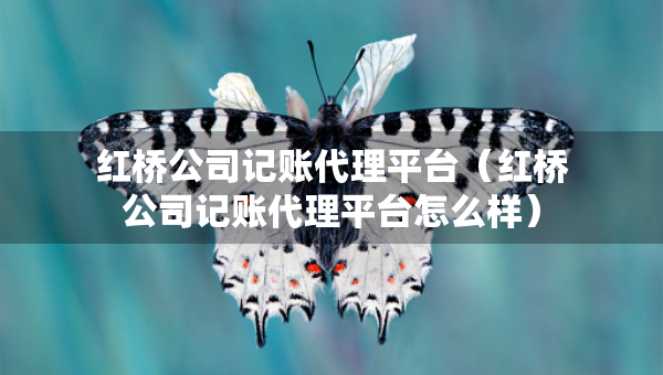 紅橋公司記賬代理平臺(tái)（紅橋公司記賬代理平臺(tái)怎么樣）