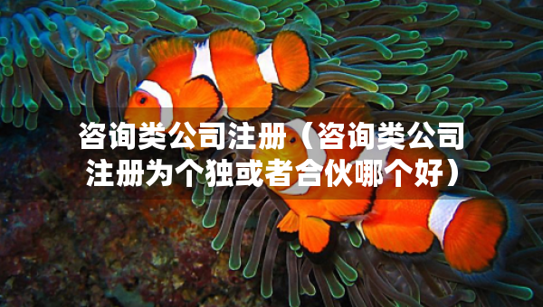 咨詢類公司注冊（咨詢類公司注冊為個(gè)獨(dú)或者合伙哪個(gè)好）