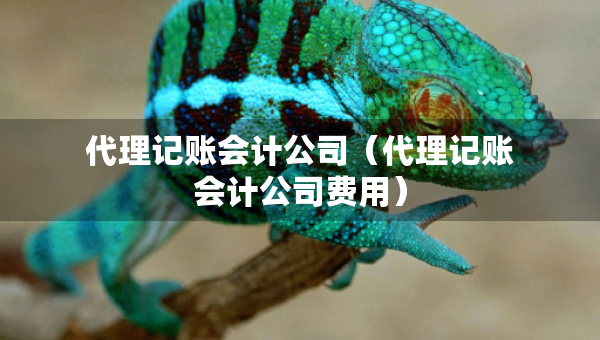 代理記賬會(huì)計(jì)公司（代理記賬會(huì)計(jì)公司費(fèi)用）