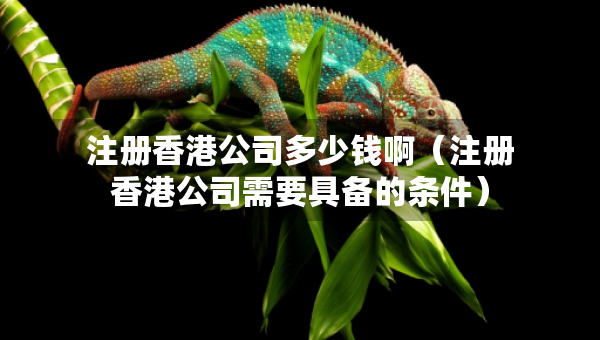 注冊香港公司多少錢?。ㄗ韵愀酃拘枰邆涞臈l件）