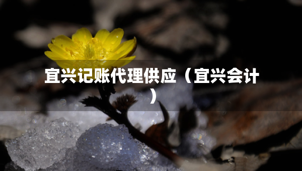 宜興記賬代理供應(yīng)（宜興會(huì)計(jì)）