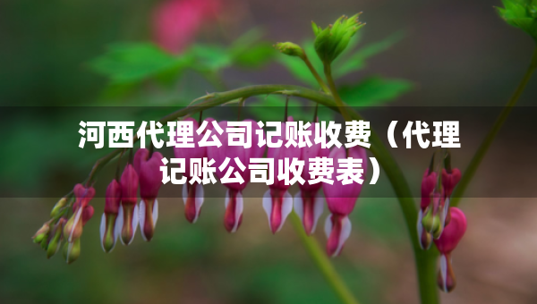 河西代理公司記賬收費(fèi)（代理記賬公司收費(fèi)表）