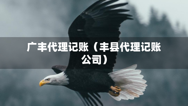 廣豐代理記賬（豐縣代理記賬公司）