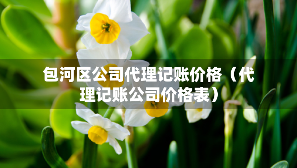 包河區(qū)公司代理記賬價格（代理記賬公司價格表）