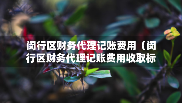 閔行區(qū)財務代理記賬費用（閔行區(qū)財務代理記賬費用收取標準）