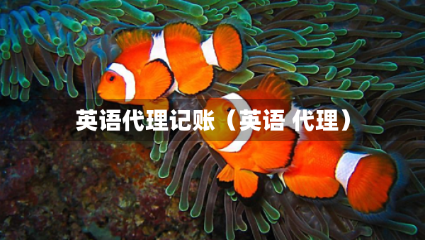 英語代理記賬（英語 代理）