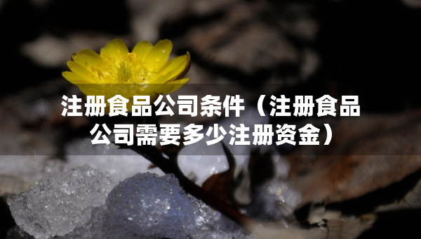 注冊(cè)食品公司條件（注冊(cè)食品公司需要多少注冊(cè)資金）