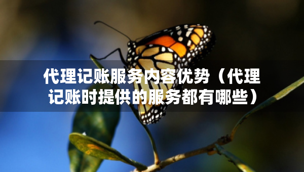 代理記賬服務(wù)內(nèi)容優(yōu)勢（代理記賬時提供的服務(wù)都有哪些）