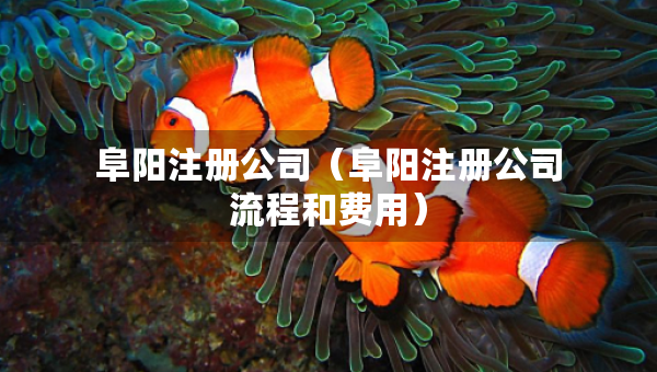 阜陽注冊公司（阜陽注冊公司流程和費(fèi)用）