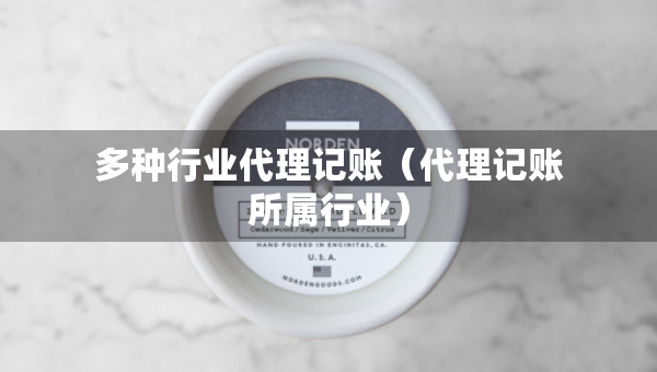 多種行業(yè)代理記賬（代理記賬所屬行業(yè)）