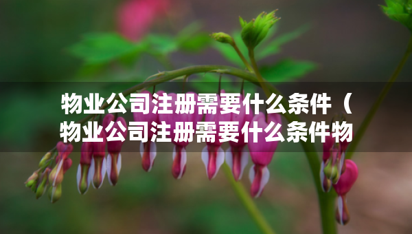 物業(yè)公司注冊(cè)需要什么條件（物業(yè)公司注冊(cè)需要什么條件物業(yè)管理資質(zhì)證書(shū)怎么申請(qǐng)）