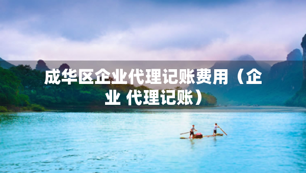 成華區(qū)企業(yè)代理記賬費(fèi)用（企業(yè) 代理記賬）