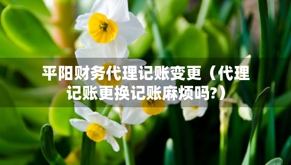 平陽財(cái)務(wù)代理記賬變更（代理記賬更換記賬麻煩嗎?）