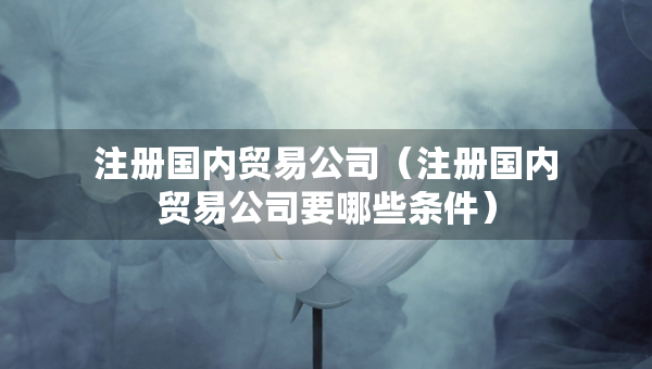 注冊國內(nèi)貿(mào)易公司（注冊國內(nèi)貿(mào)易公司要哪些條件）