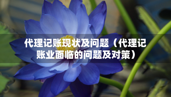 代理記賬現(xiàn)狀及問題（代理記賬業(yè)面臨的問題及對策）
