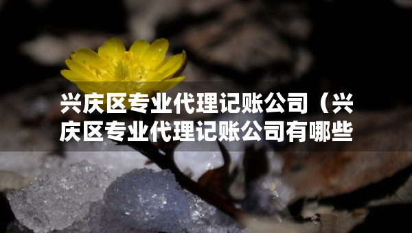 興慶區(qū)專業(yè)代理記賬公司（興慶區(qū)專業(yè)代理記賬公司有哪些）