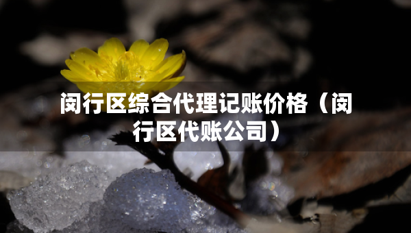 閔行區(qū)綜合代理記賬價(jià)格（閔行區(qū)代賬公司）