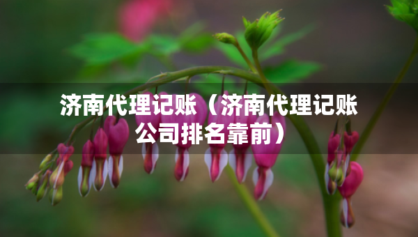 濟南代理記賬（濟南代理記賬公司排名靠前）