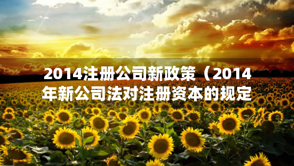 2014注冊公司新政策（2014年新公司法對注冊資本的規(guī)定）