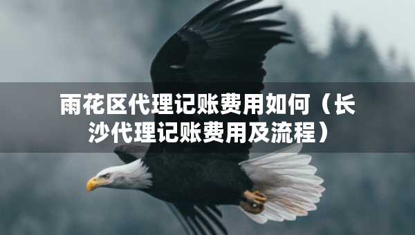雨花區(qū)代理記賬費用如何（長沙代理記賬費用及流程）