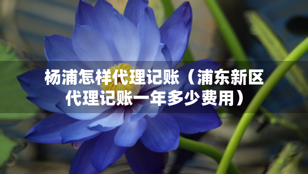 楊浦怎樣代理記賬（浦東新區(qū)代理記賬一年多少費(fèi)用）