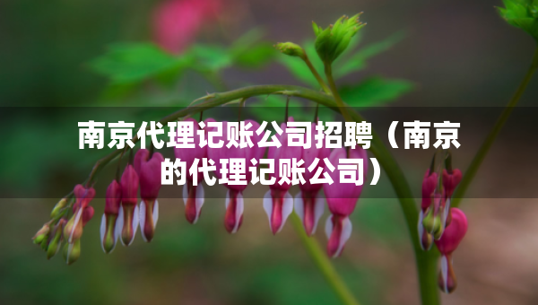 南京代理記賬公司招聘（南京的代理記賬公司）