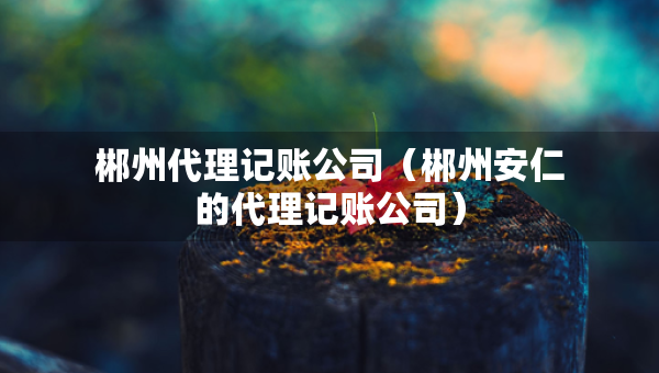 郴州代理記賬公司（郴州安仁的代理記賬公司）