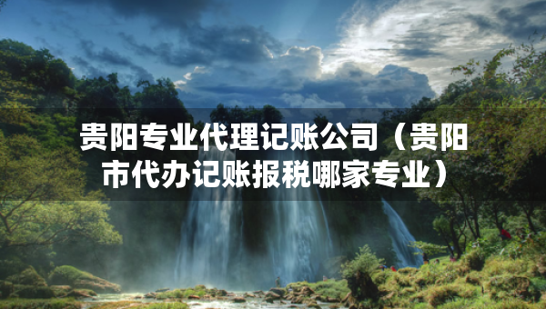 貴陽(yáng)專業(yè)代理記賬公司（貴陽(yáng)市代辦記賬報(bào)稅哪家專業(yè)）
