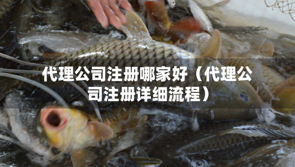 代理公司注冊哪家好（代理公司注冊詳細(xì)流程）