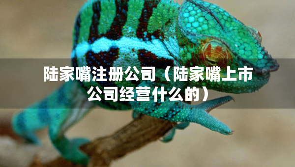 陸家嘴注冊(cè)公司（陸家嘴上市公司經(jīng)營(yíng)什么的）