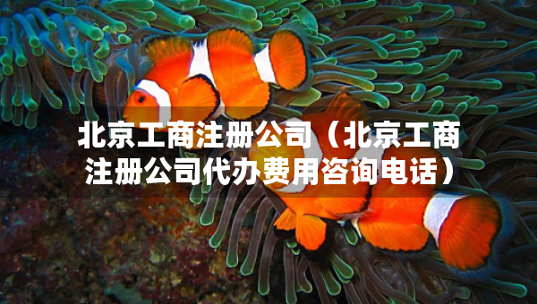 北京工商注冊公司（北京工商注冊公司代辦費用咨詢電話）