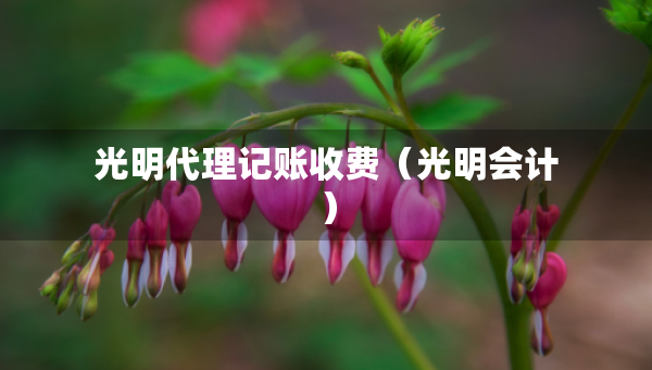 光明代理記賬收費（光明會計）