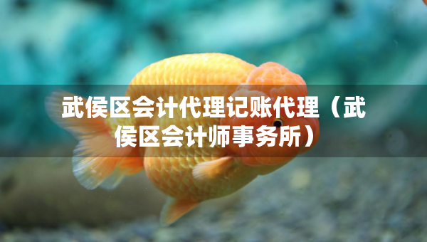 武侯區(qū)會計代理記賬代理（武侯區(qū)會計師事務(wù)所）