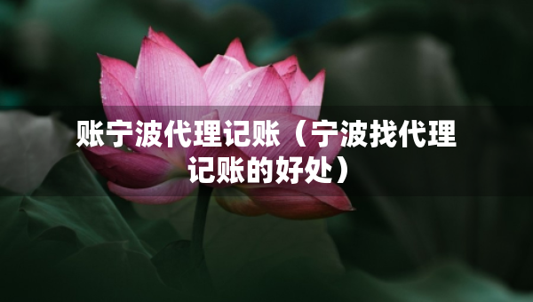 賬寧波代理記賬（寧波找代理記賬的好處）