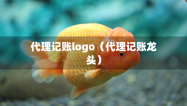 代理記賬logo（代理記賬龍頭）