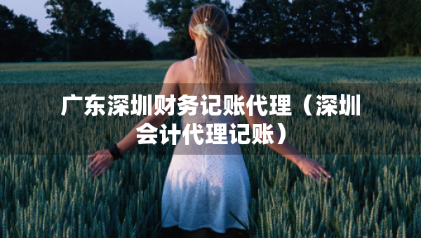 廣東深圳財務(wù)記賬代理（深圳會計代理記賬）