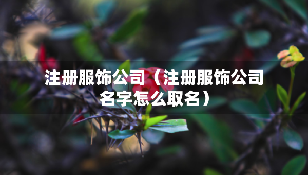 注冊(cè)服飾公司（注冊(cè)服飾公司名字怎么取名）